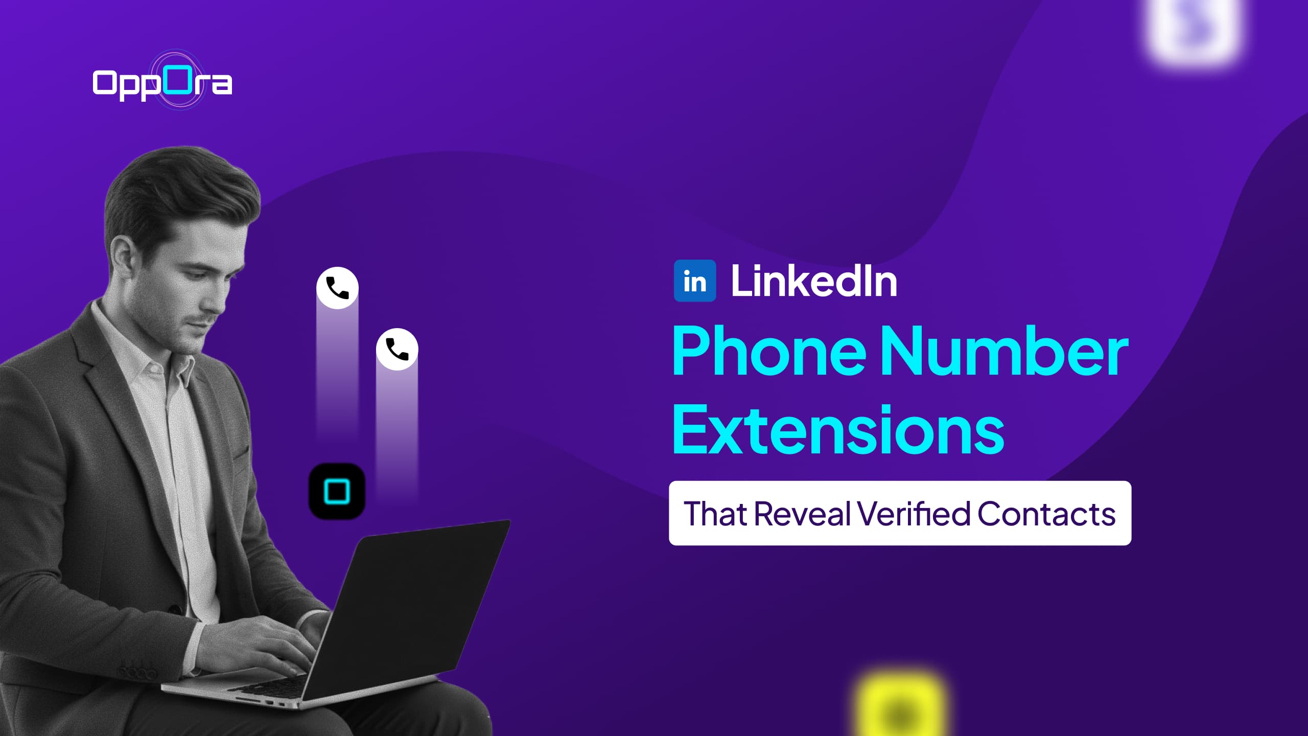 Linkedin Phone Number Extensions